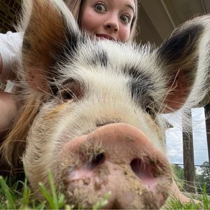 Meet your Posher, Morgan